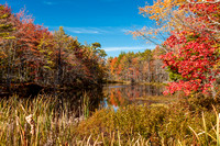 Fall Foliage, Maine