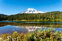 Mount Rainier from Reflection Lake