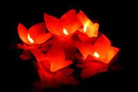 Floating prayer flower candles